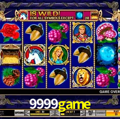 9999game Rio de Janeiro - Bonus Terms